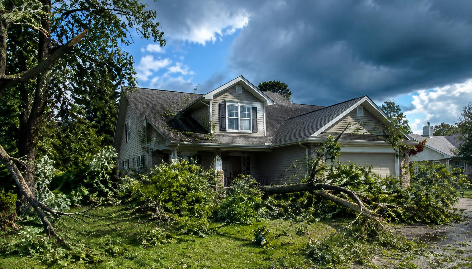 Georgia home with fallen tree limbs after a severe storm
